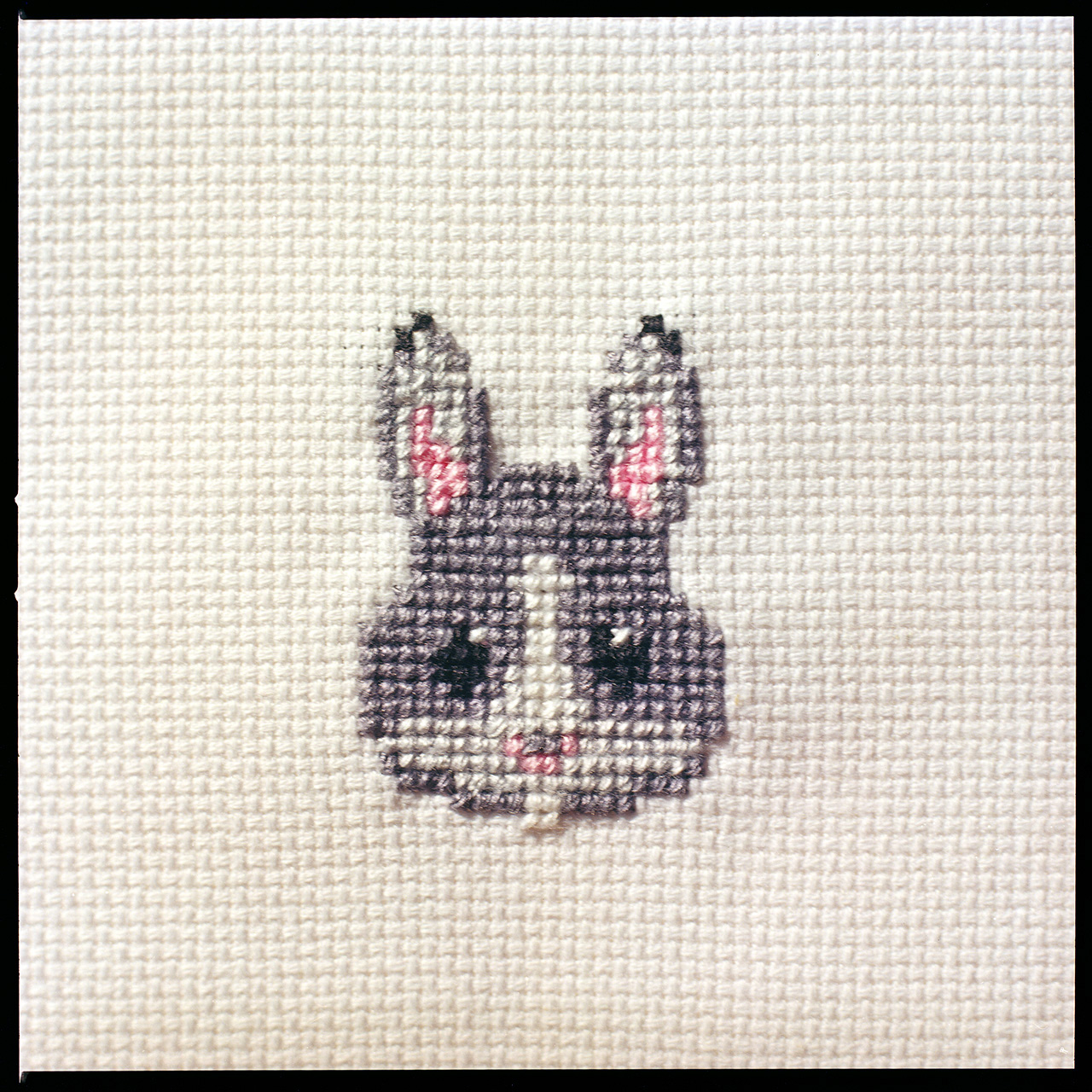 Rabbit Face