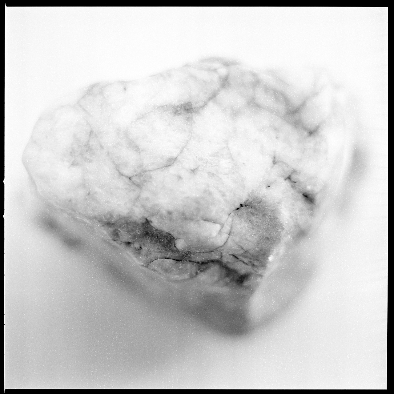 Twelve Small Rocks: 4